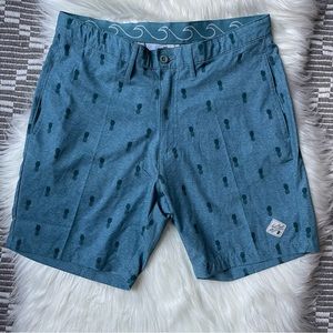 Trunks Land to Water Beach Shorts Men’s 30
